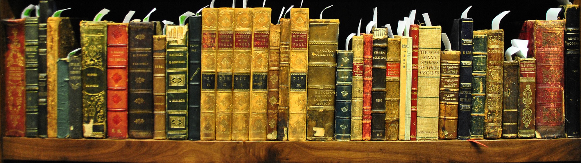 Libros antiguos en estantería